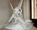 psyche